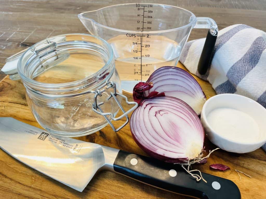 Bright Pickled Red Onions- Easy Recipe - Jillian Fae