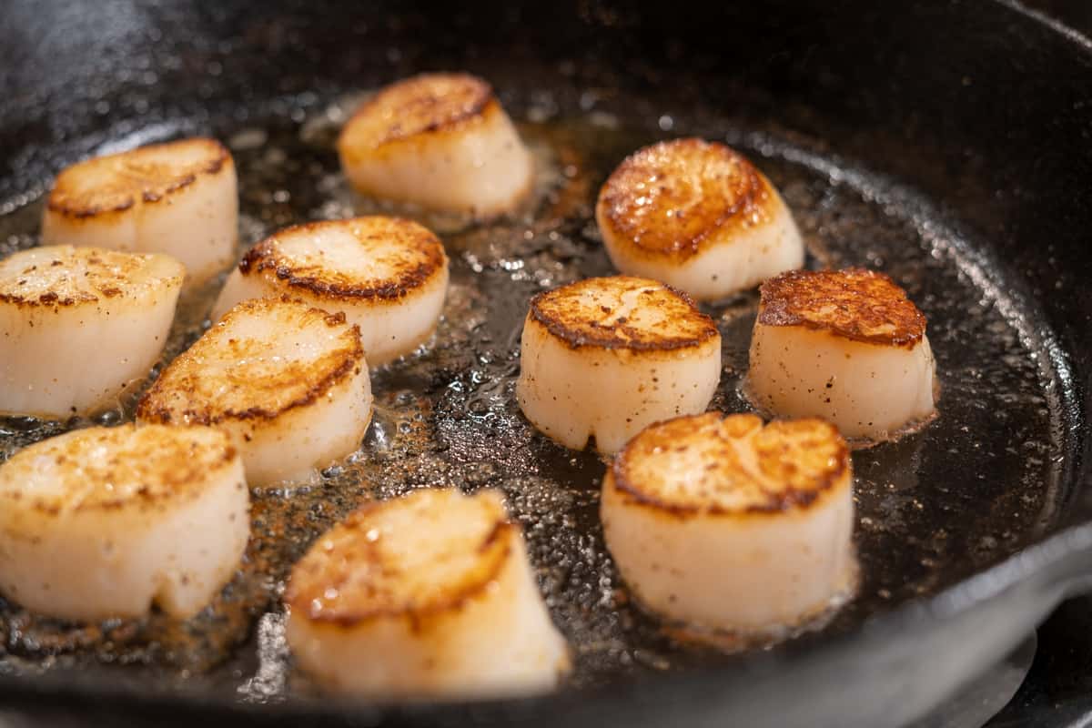 Scallops searing in a pan