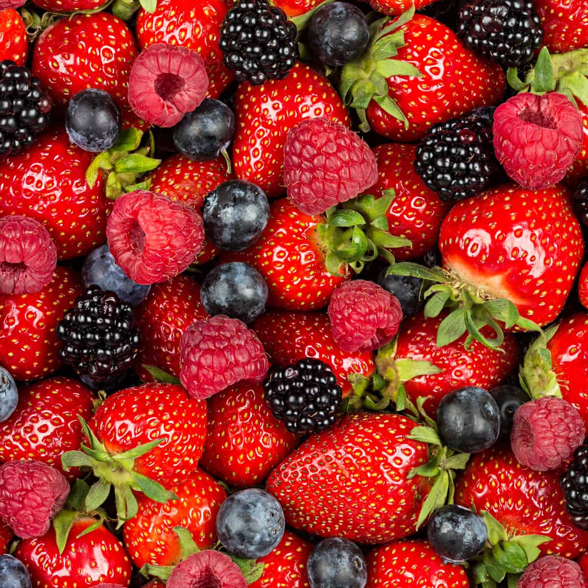 up close view of mixture of berries including blueberries, strawberries, raspeberries, and blackberries