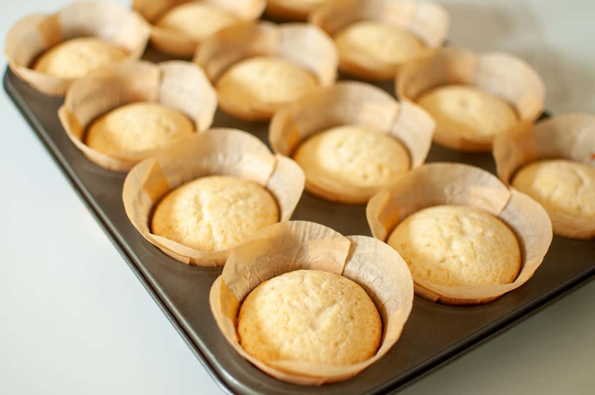 Vanilla Honey Cupcake in brown tulip cupcake liners in a cupcake tray