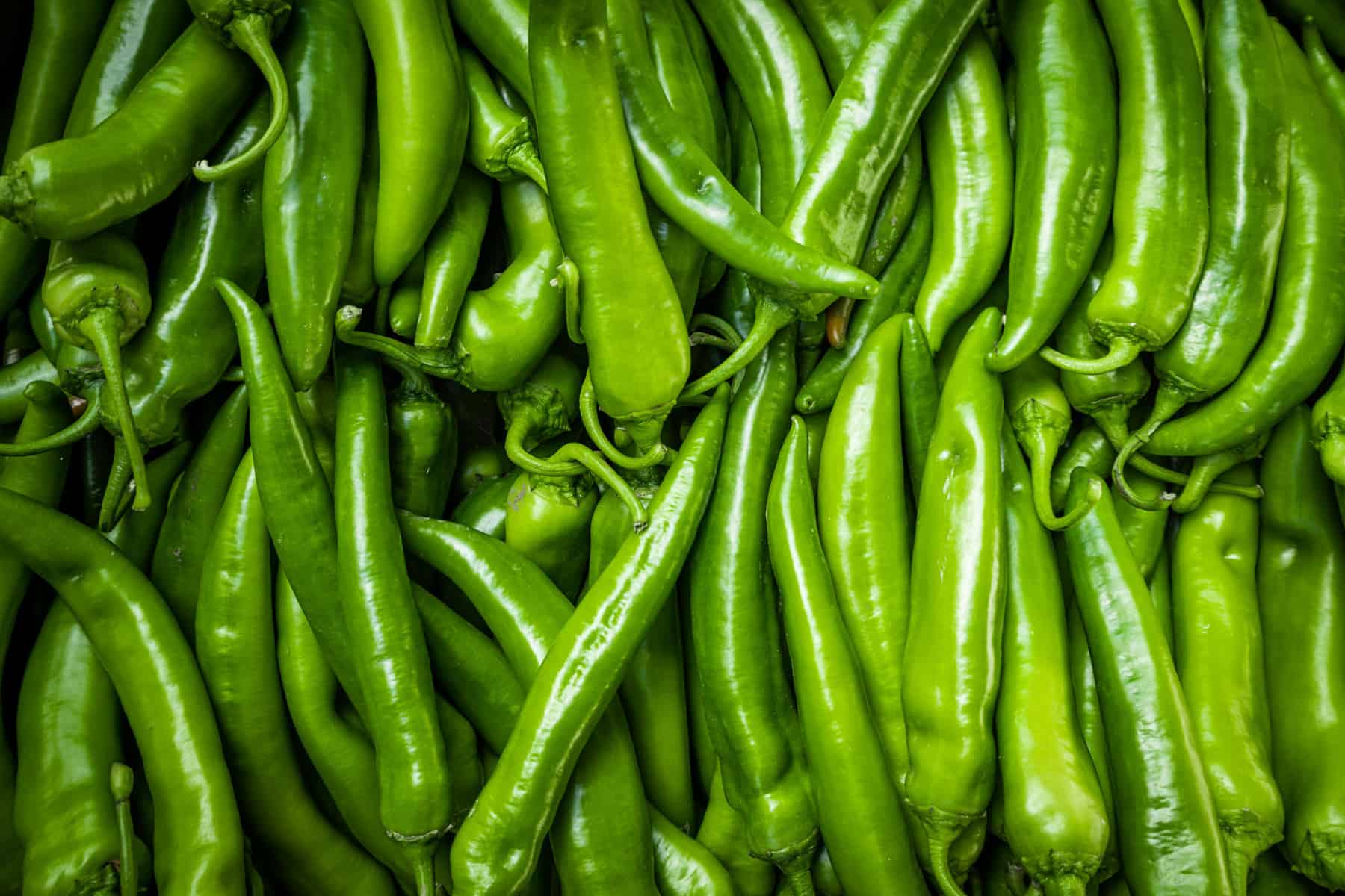 Green chilis peppers up close