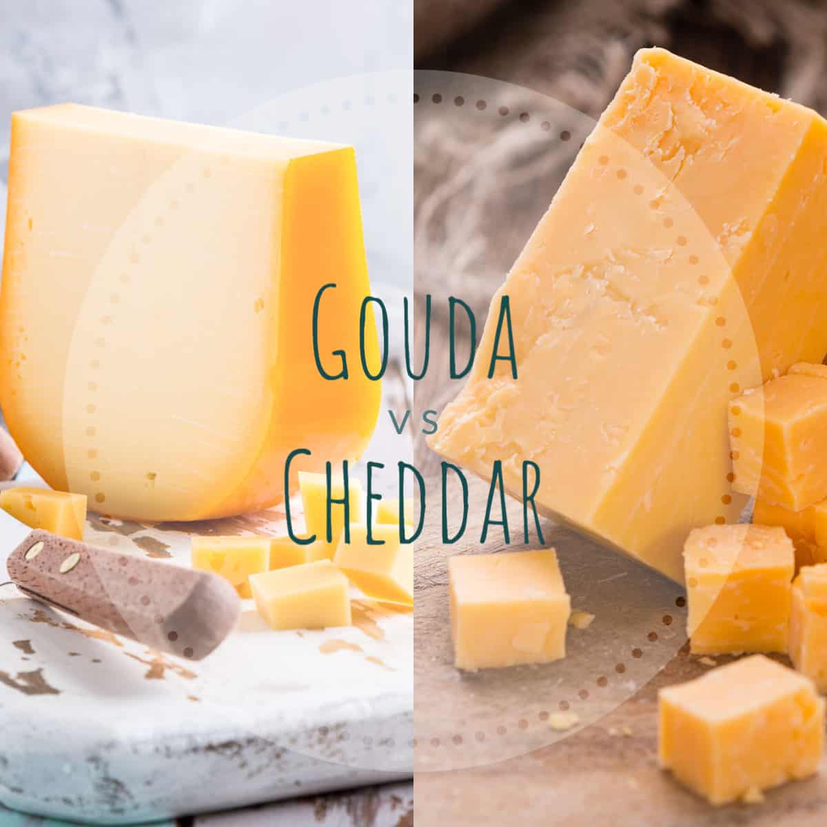 infographic with an image of gouda next to cheddar cheese 