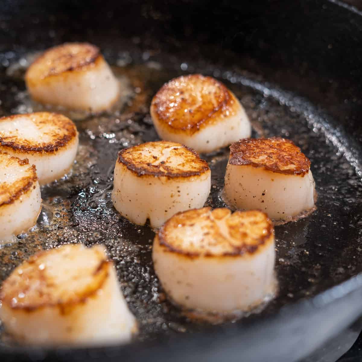 Best Ways to Freeze & Reheat Cooked Scallops
