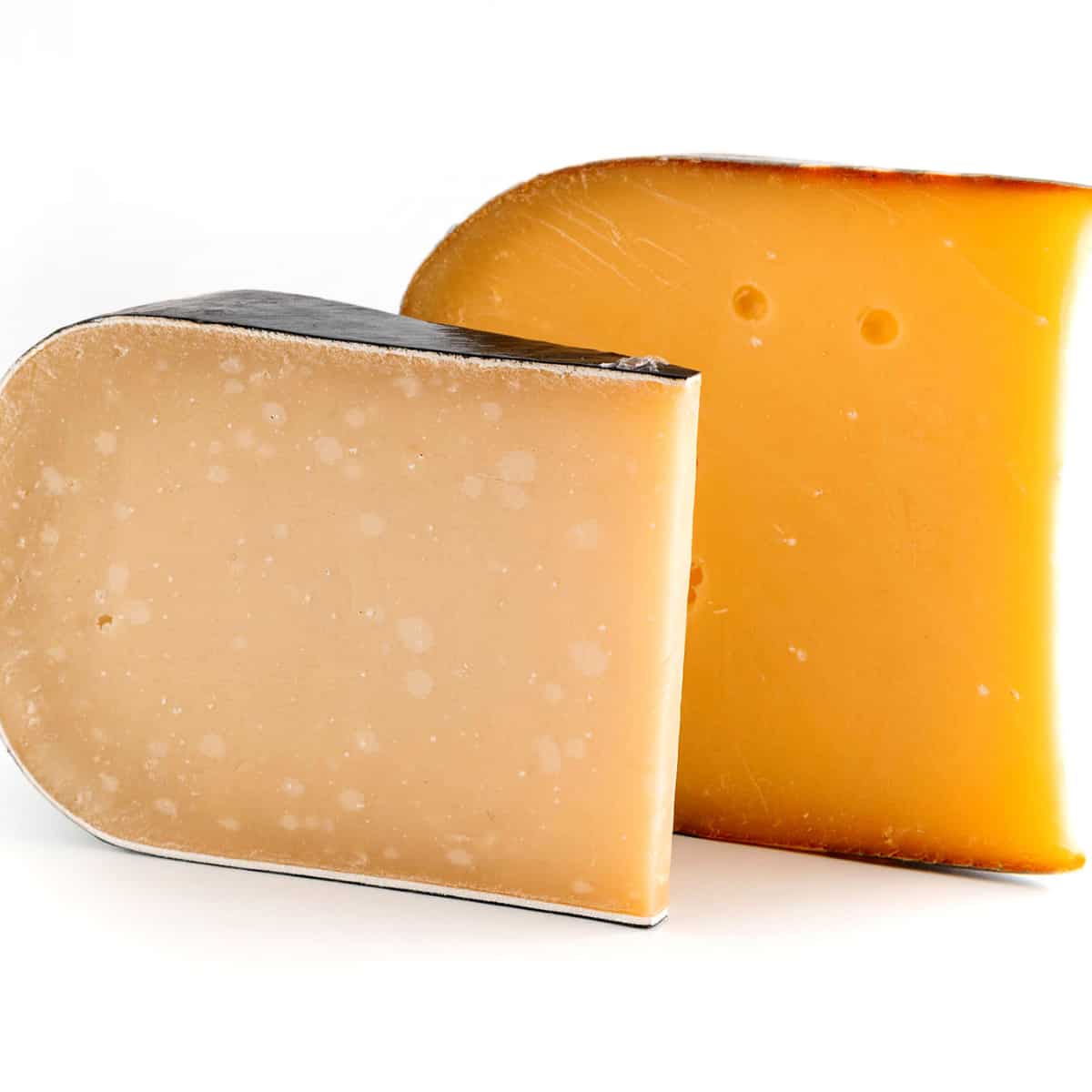 two different types of gouda, aged and standard