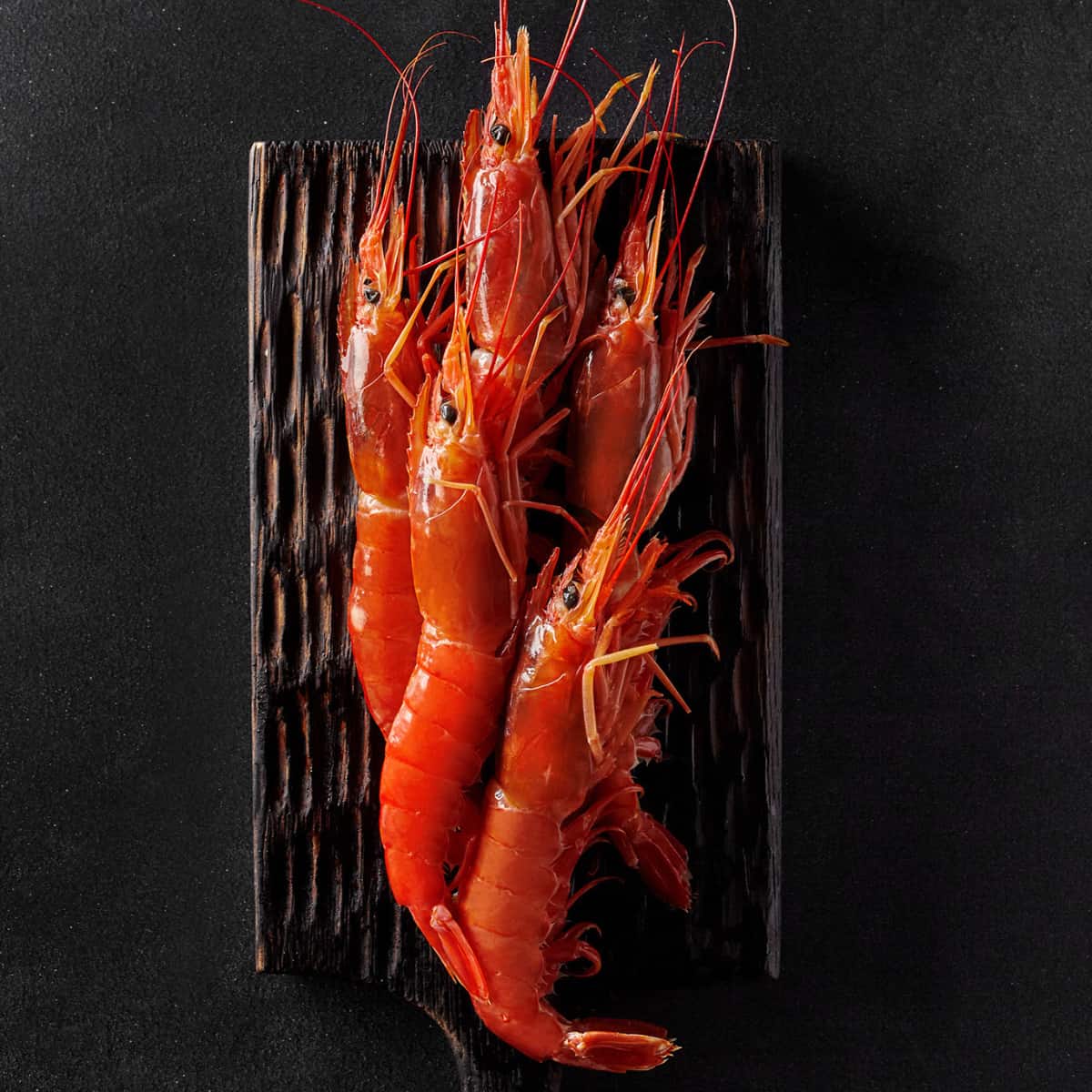 Royal Red Shrimp on a black background 