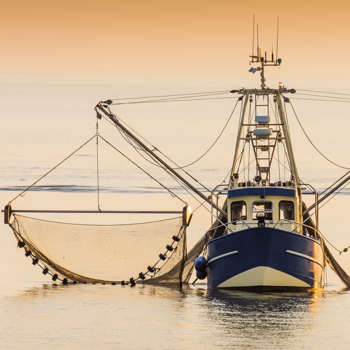 Shrimp boat with nets in the water at sunrise