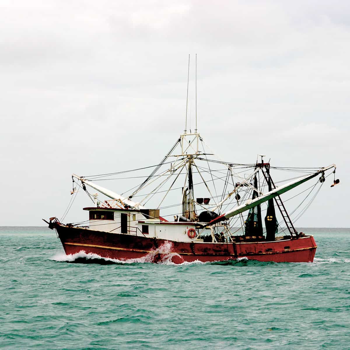 Shrimp boat on the water 