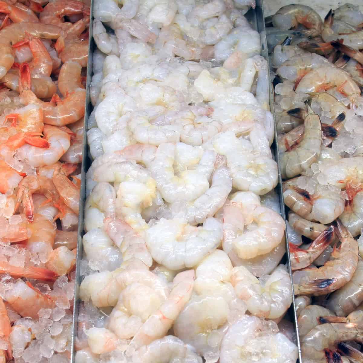three different types of shrimp, on ice, at a market