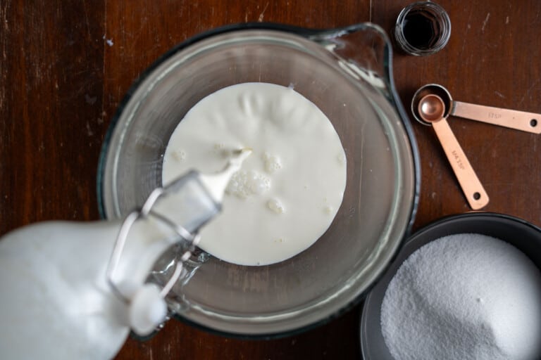 Easy Mexican Vanilla Ice Cream Recipe No Eggs